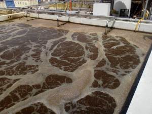 depurazione-acque-climatec-35_1